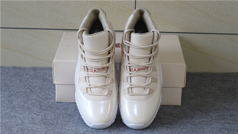 Air Jordan 11 20th Anniversary